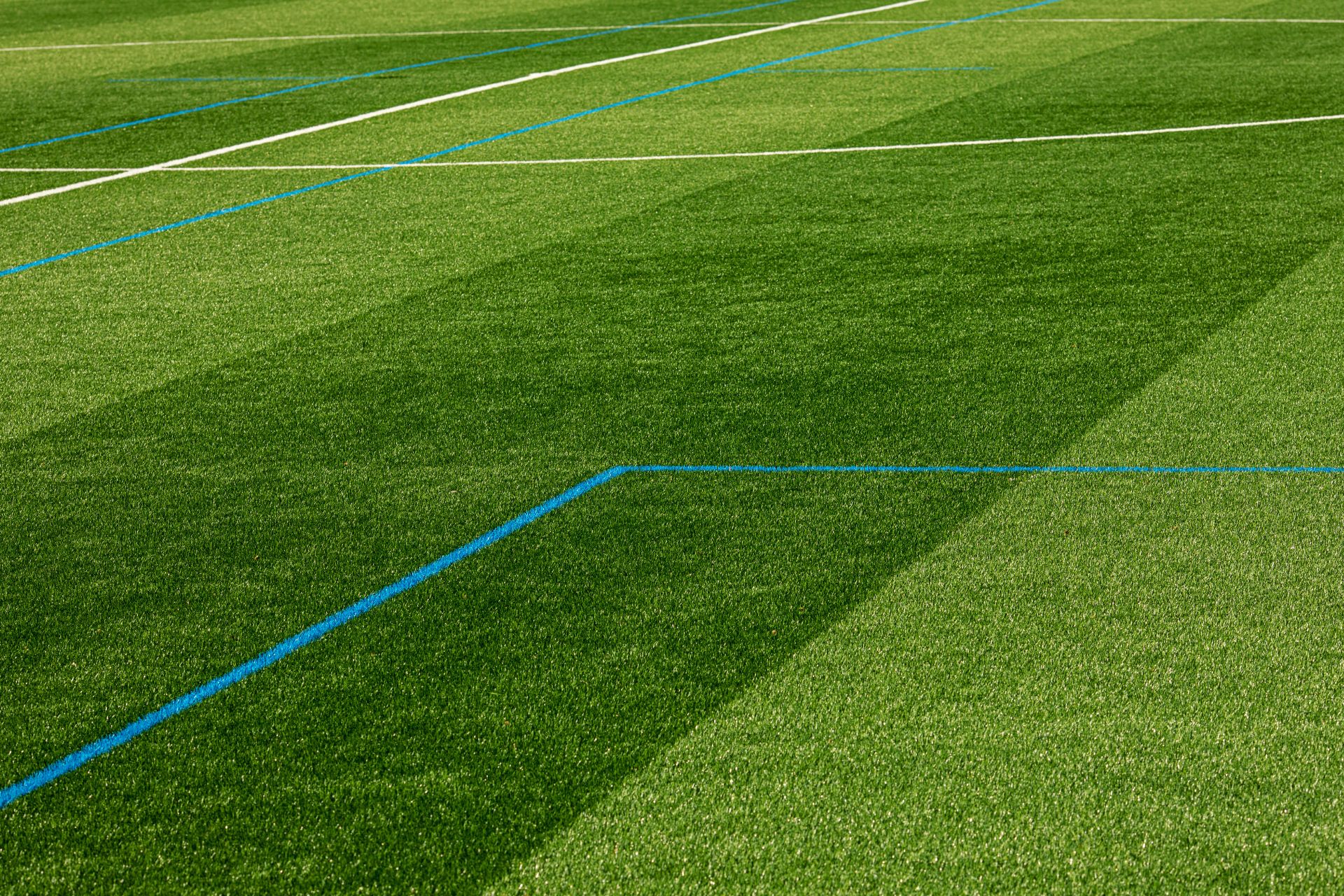 césped deportivo