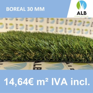 césped Boreal