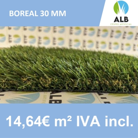 césped Boreal