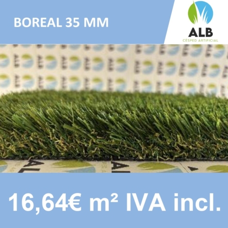 césped Boreal