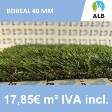 césped Boreal